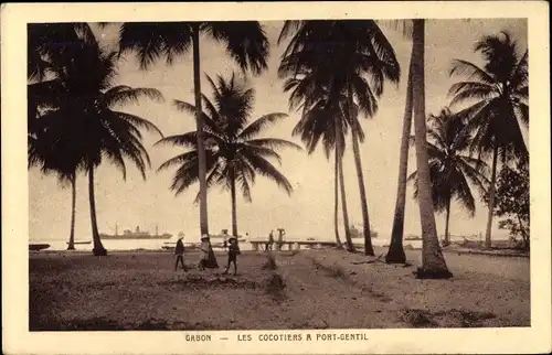 Ak Port Gentil Gabun, Les cocotiers à Port Gentil
