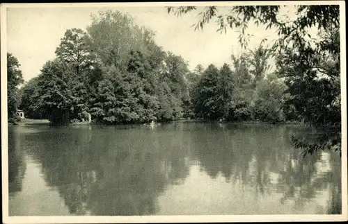 Ak Zagreb Kroatien, Maksimir