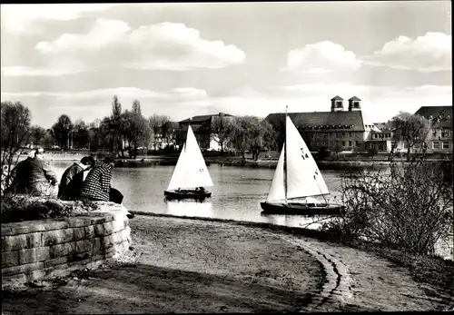 Ak Münster in Westfalen, Aasee, Segelboote