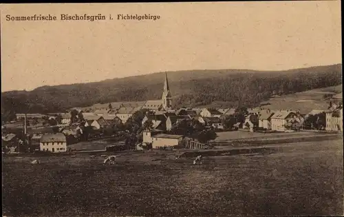 Ak Bischofsgrün im Fichtelgebirge, Panorama