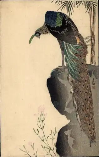 Künstler Ak Pfau, The Shimbi Shoin, Tokyo