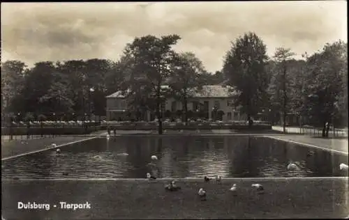 Ak Duisburg im Ruhrgebiet, Partie im Tierpark, Teich, Gasthaus