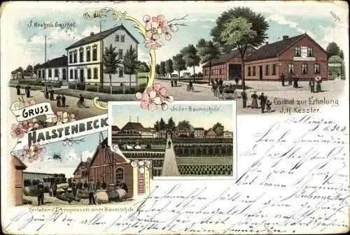 Litho Halstenbek in Holstein, J. Krohn's Gasthof, Gasthof zur Erholung J.H. Kessler, Baumschule