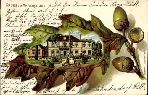 Eichenblatt Litho Ahrensburg in Schleswig Holstein, Post m. Doppeleiche