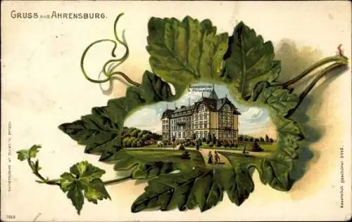 Präge Weinblatt Litho Ahrensburg im Kreis Stormarn, Genesungsheim