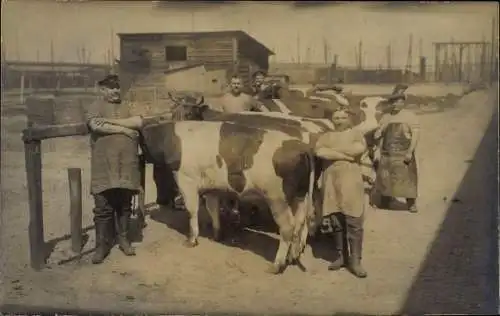 Foto Ak Cuxhaven, Militär Schlachterei, Rinder, Schlachthof, 1917