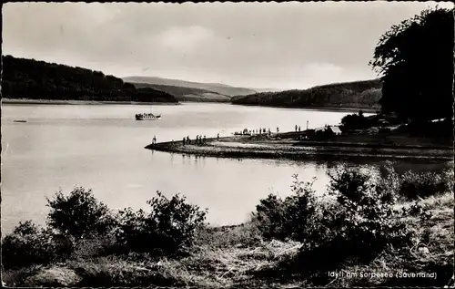 Ak Langscheid Sundern im Sauerland, Idyll am Sorpesee, Boot Möwe