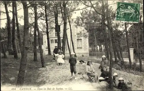 Ak Cayeux Somme, Dans les Bois de Sapins, enfants