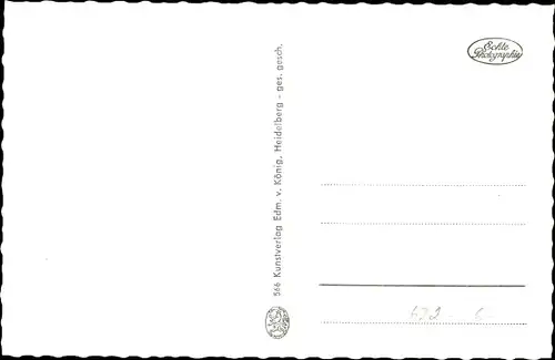 Ak Rüdesheim am Rhein, Rheinstraße