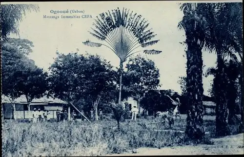 Ak Ogooué Gabun, Massanga Immeubles CEFA
