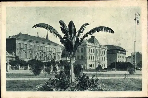 Ak Zagreb Kroatien, Sveucilisni trg