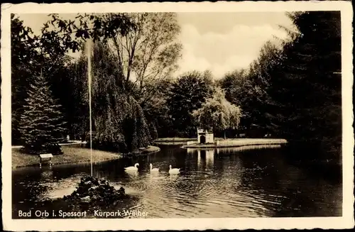 Ak Bad Orb in Hessen, Kurpark mit Weiher