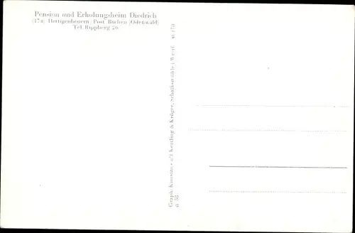 Ak Hettigenbeuern Buchen im Odenwald, Pension Diedrich, Kleiner Saal, Schwimmbad, Liegewiese