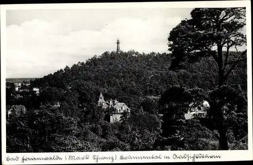 Ak Bad Freienwalde an der Oder, Brunnental mit Aussichtsturm