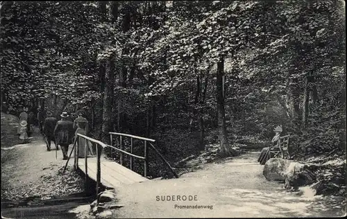 Ak Bad Suderode Quedlinburg im Harz, Promenadenweg