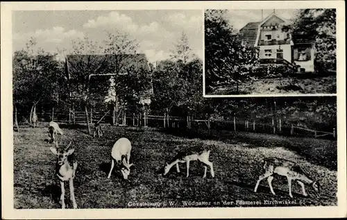 Ak Gevelsberg im Ruhrgebiet, Wildgatter mit Rotwild an der Försterei Kirchwinkel, Hausansicht