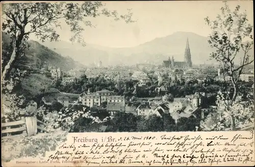 Ak Freiburg im Breisgau, Panorama
