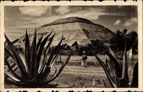 Ak Teotihuacán Mexiko, Piramide del Sol, Agaven, Pyramide