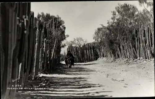 Foto Ak San Pablo Villa de Mitla Oaxaca Mexiko, Pueblo de Mitla, Kakteen