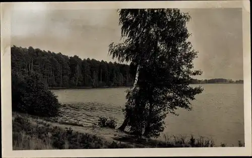 Foto Ak Trzcianka Schönlanke an der Ostbahn Posen, Partie am Logosee