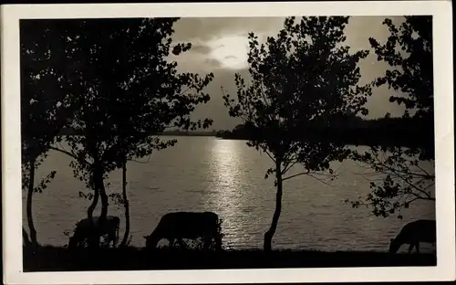 Foto Ak Trzcianka Schönlanke an der Ostbahn Posen, Abendstimmung am Zasker See