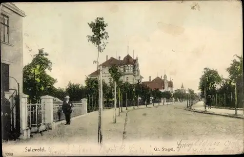 Ak Salzwedel in der Altmark, Gr. Stegel, Blick in eine Straße, Villen, Wohngebäude, Mann mit Hut