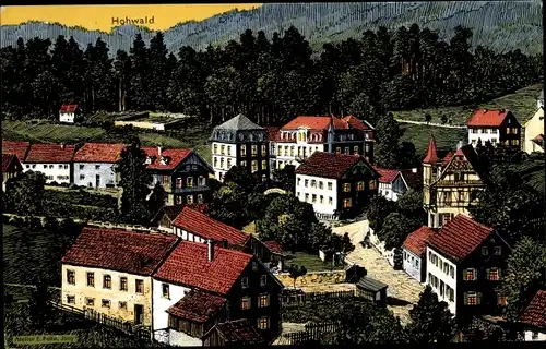 Künstler Ak Le Hohwald Elsass Bas Rhin, Teilansicht