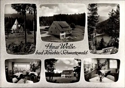 Ak Kniebis Freudenstadt im Nordschwarzwald, Haus Welle