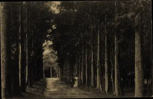 Ak Montevideo Uruguay, Villa Colon, Avenida Lezica