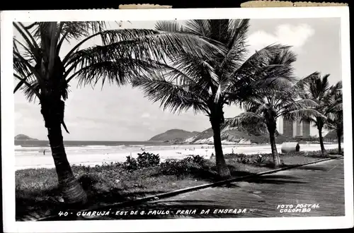 Ak Guarujá Brasilien, Praia da Enseada, Palmen
