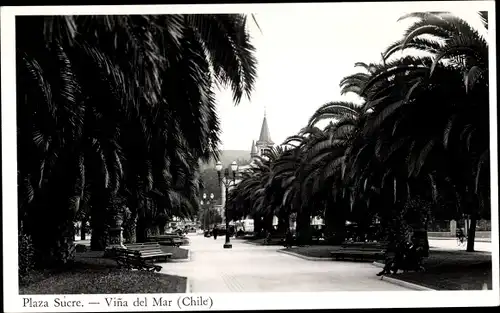 Foto Ak Viña del Mar Chile, Plaza Sucre