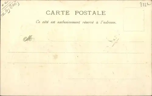 Präge Litho L'Exercice militaire, vermenschlichte Katzen und Schimpanse, Bajonette