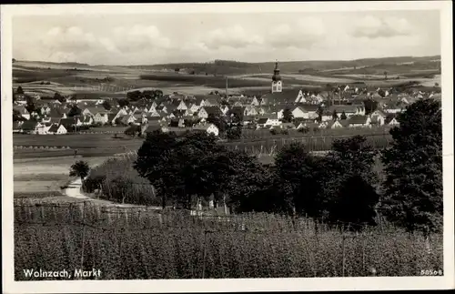 Ak Wolnzach in Oberbayern, Hopfenfeld, Ortsansicht