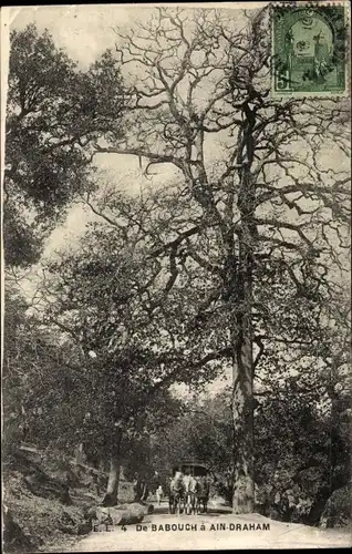 Ak Aïn Draham in Tunesien, De Babouch