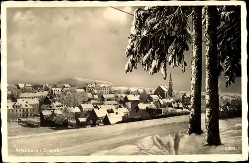 Ak Altenberg im Osterzgebirge, Gesamtansicht im Winter