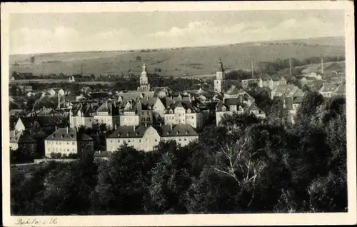 Ak Döbeln in Sachsen, Totale