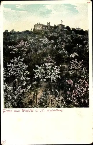 Ak Werder an der Havel, Wachtelberg, Baumblüte