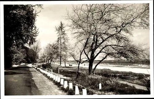 Ak Scharbeutz in Ostholstein, Promenade