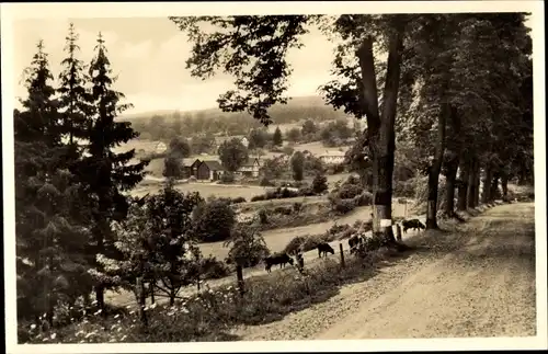 Ak Schadges Lauterbach in Hessen, Landschaftsblick, Kuhweide, Schwesternerholungsheim Birkenruh