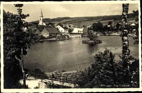 Ak Schönsee Oberpfalz, Blick über den See zum Ort