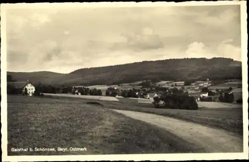 Ak Schönsee Oberpfalz, Geisthal, Panorama,