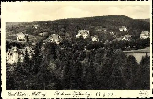 Ak Bad Sachsa im Harz, Blick vom Pfaffenberg