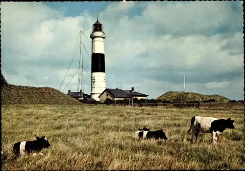 Ak Insel Sylt in Nordfriesland, Kampener Leuchtfeuer, weidende Kühe