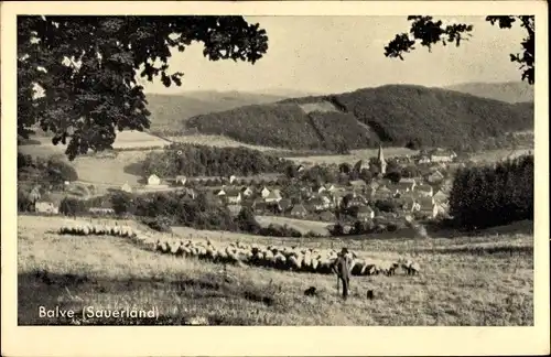 Ak Balve im Sauerland, Ort mit Umgebung