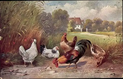 Künstler Ak Schönian, Alfred, Hahn mit Hennen, Ente