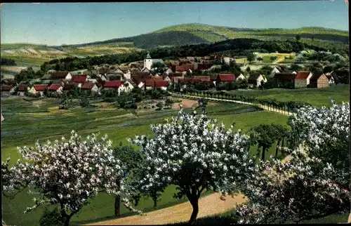 Ak Schloßborn Schlossborn Glashütten im Taunus, Panorama mit Obstbaumblüte