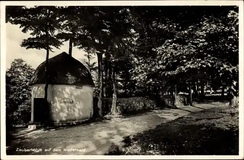 Ak Rüdesheim am Rhein, Zauberhöhle auf dem Niederwald