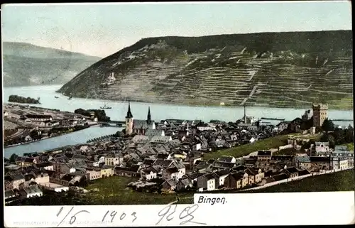 Ak Rhein, Panorama vom Ort, Brücke, Weinfelder, Kirche