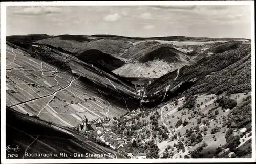 Ak Bacharach am Rhein, Blick ins Steeger Tal