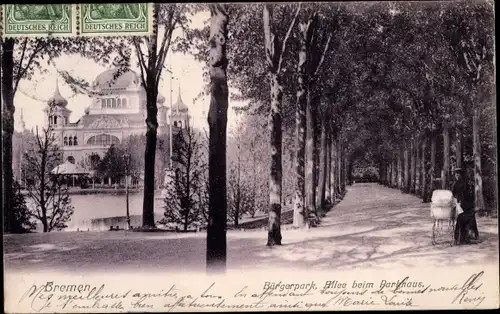 Ak Hansestadt Bremen, Bürgerpark, Allee beim Parkhaus